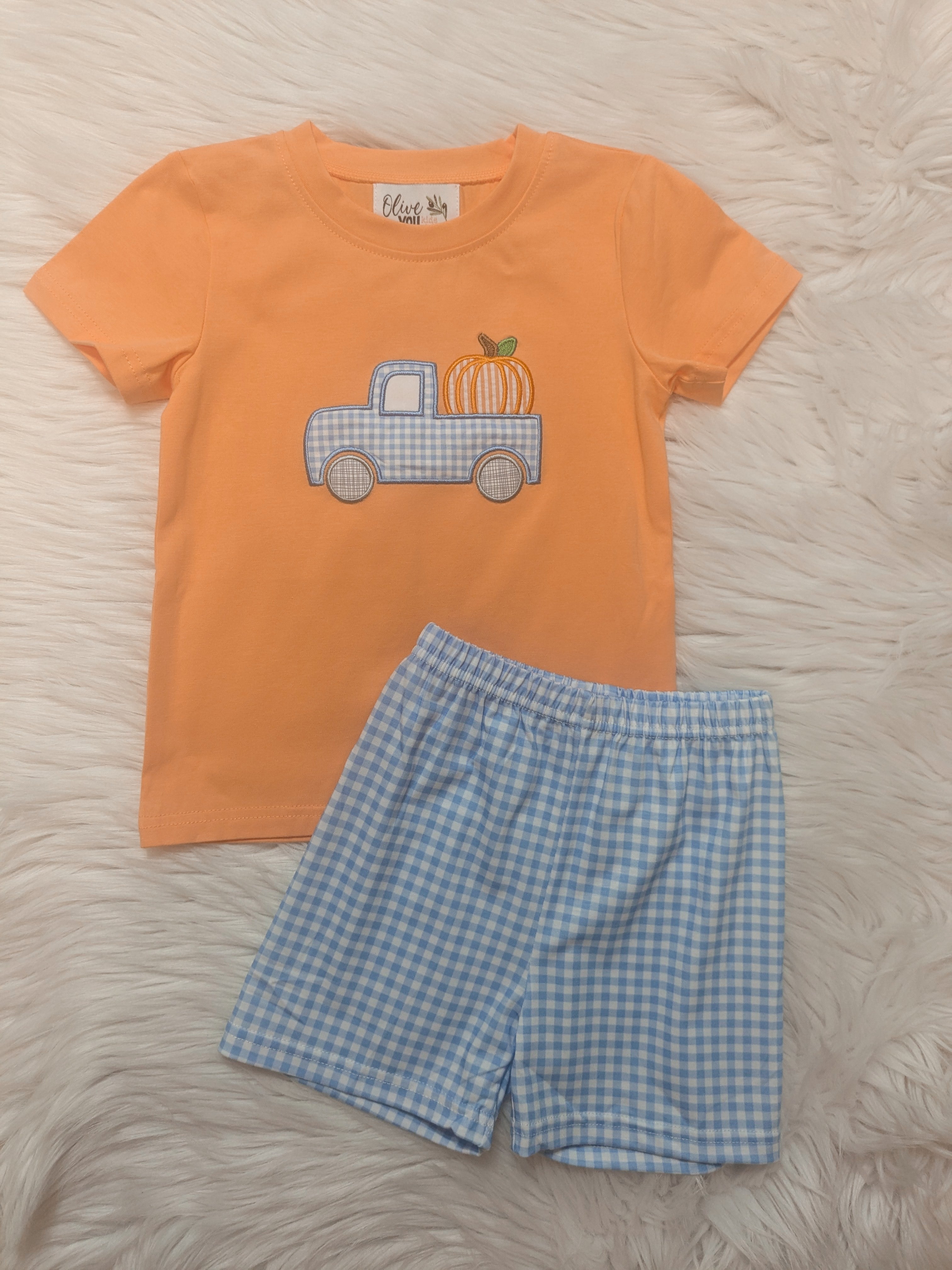 Gingham Truck Pumpkin Boy Short Set