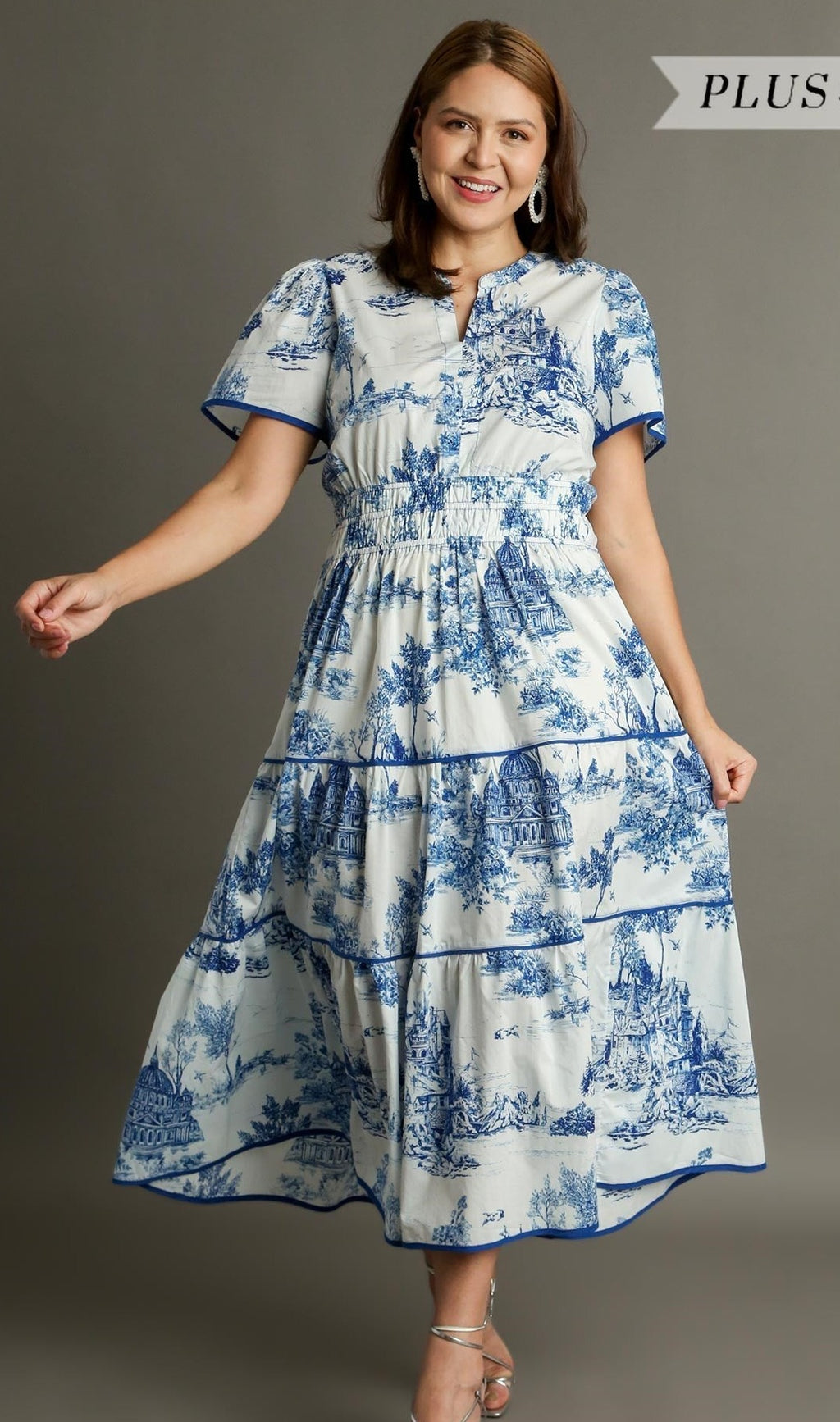 Blue Landscape Toile Maxi Dress